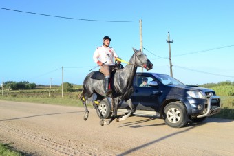 DSC_1214.JPG