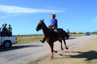 DSC_1411.JPG